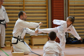 Gürtelprüfung in der Taekwon-Do Gruppe Bad Reichenhall