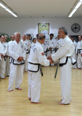 Großmeister Kwon, Jae-Hwa in Berlin