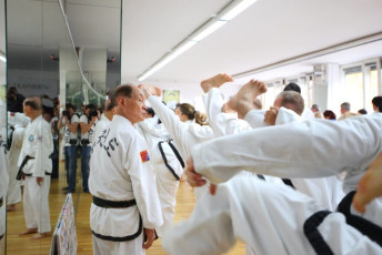 Großmeister Kwon, Jae-Hwa in Berlin