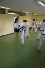 Frühjahrslehrgang Taekwon-Do Salzburg - Itzling Ü40