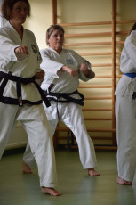 Frühjahrslehrgang Taekwon-Do Salzburg - Itzling Ü40