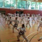 koreanisches Karate in Salzburg, Traunstein und Bad Reichenhall